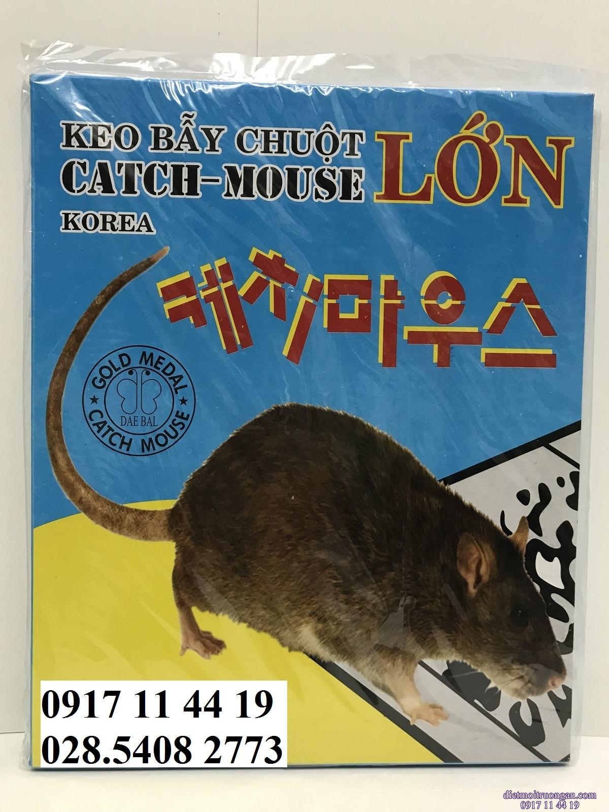 KEO DÍNH CHUỘT CỐNG, CHUỘT TO