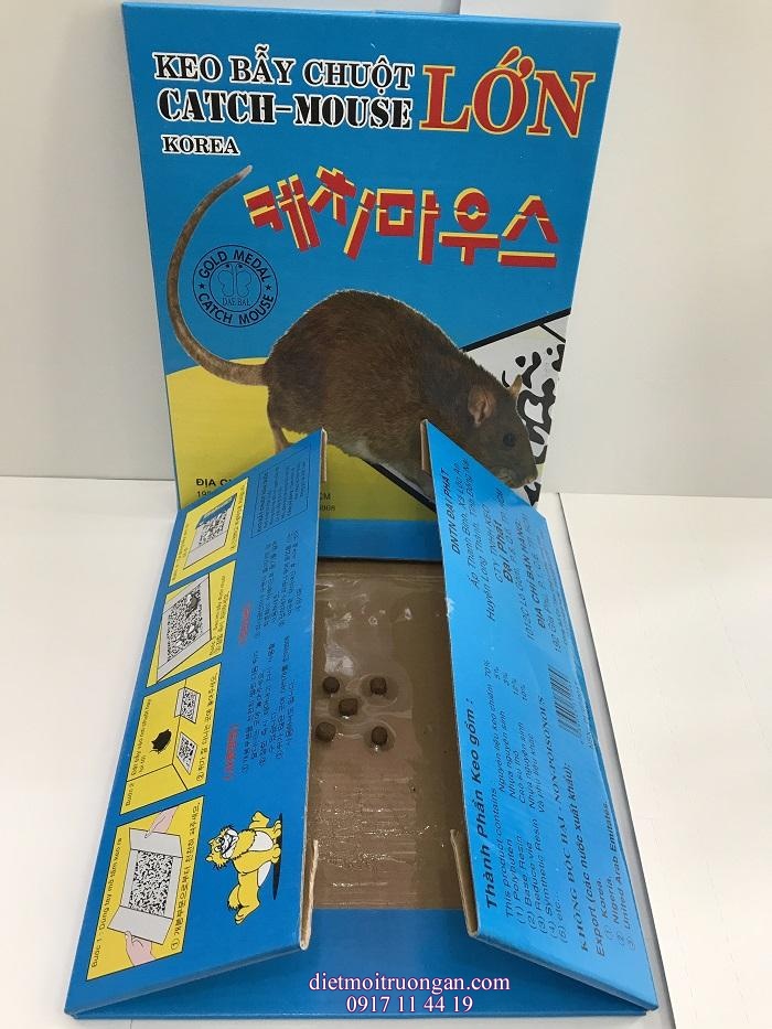 KEO DÍNH CHUỘT CỐNG, CHUỘT TO