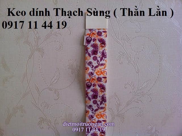 Tấm keo dính côn trùng