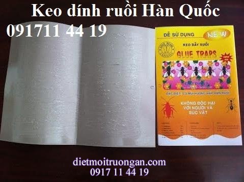 Tấm keo dính côn trùng