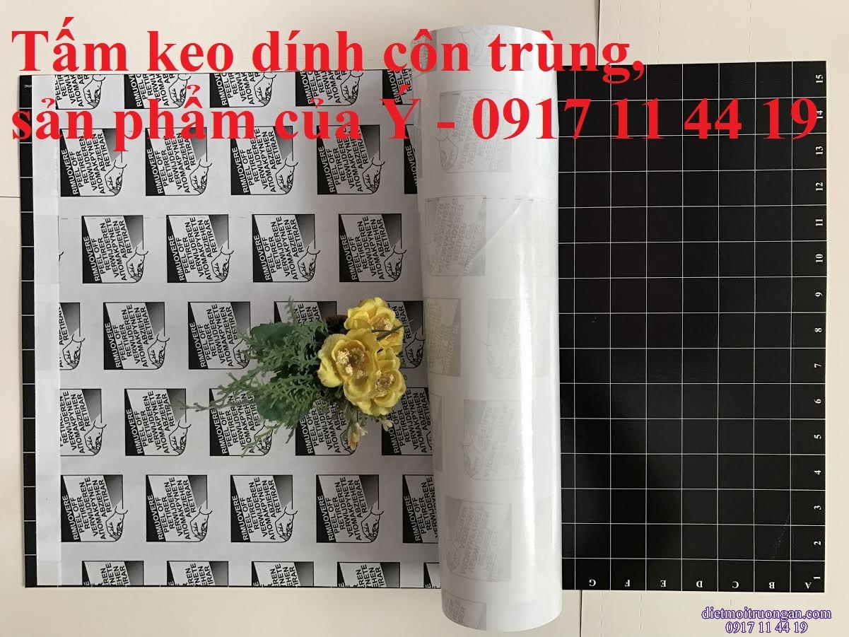 Tấm keo dính côn trùng