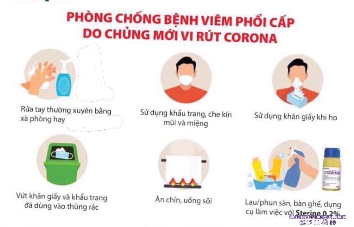 Diệt khuẩn, khử trùng, phun phòng chống dịch bệnh STERINE
