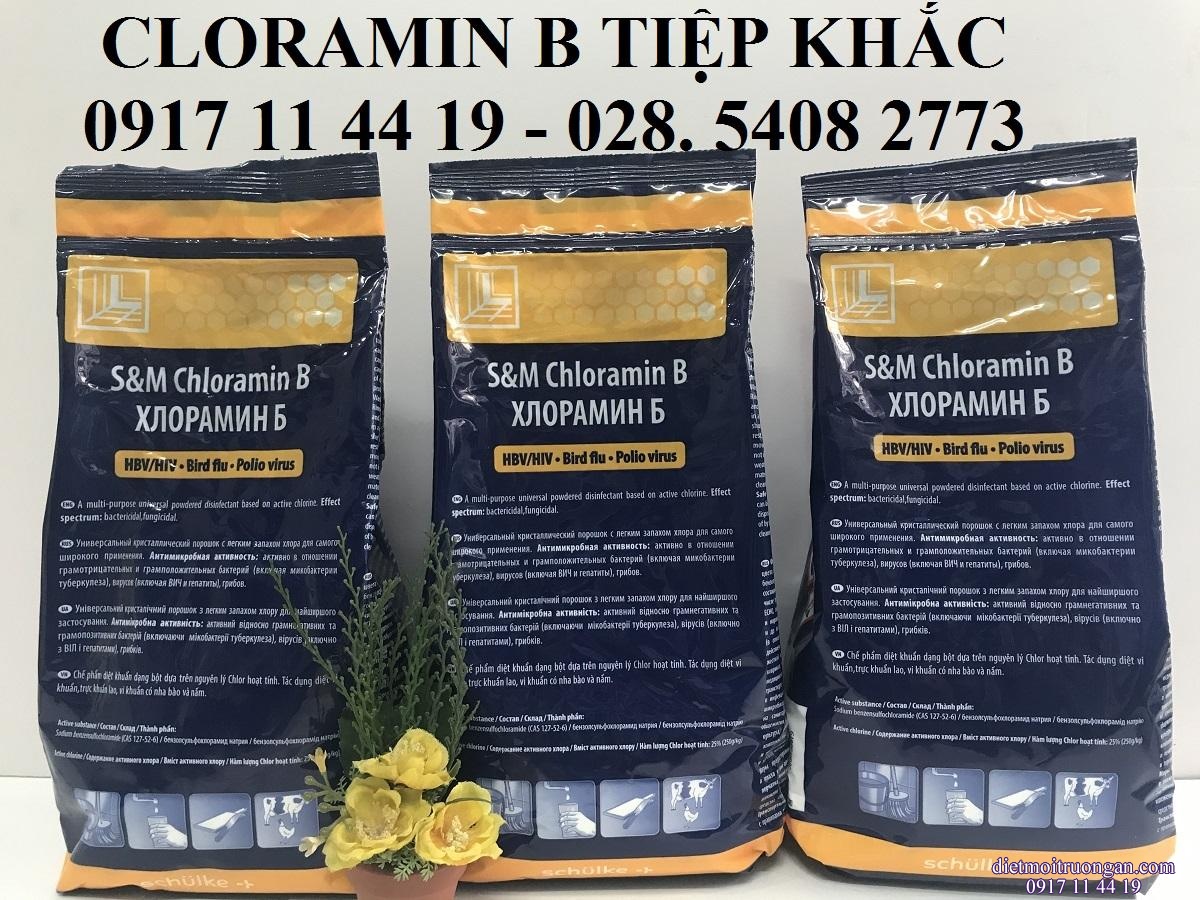 CLORAMIN B SÉC  dạng bột túi 1kg và thùng 35kg