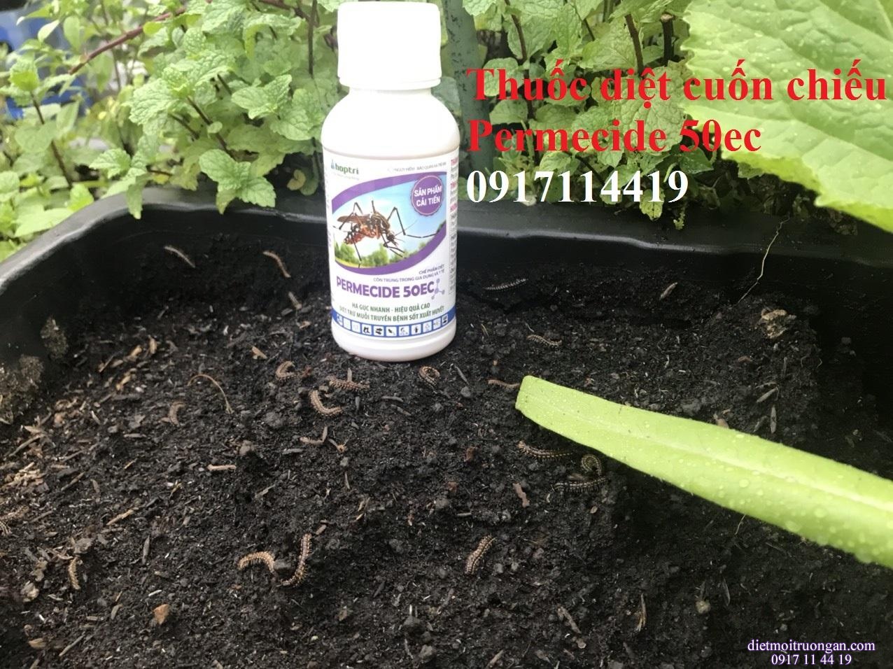 THUỐC DIỆT SÂU CUỐN CHIẾU