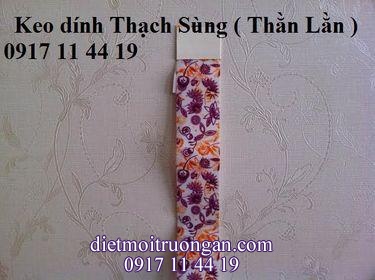 Keo dính Thạch Sùng