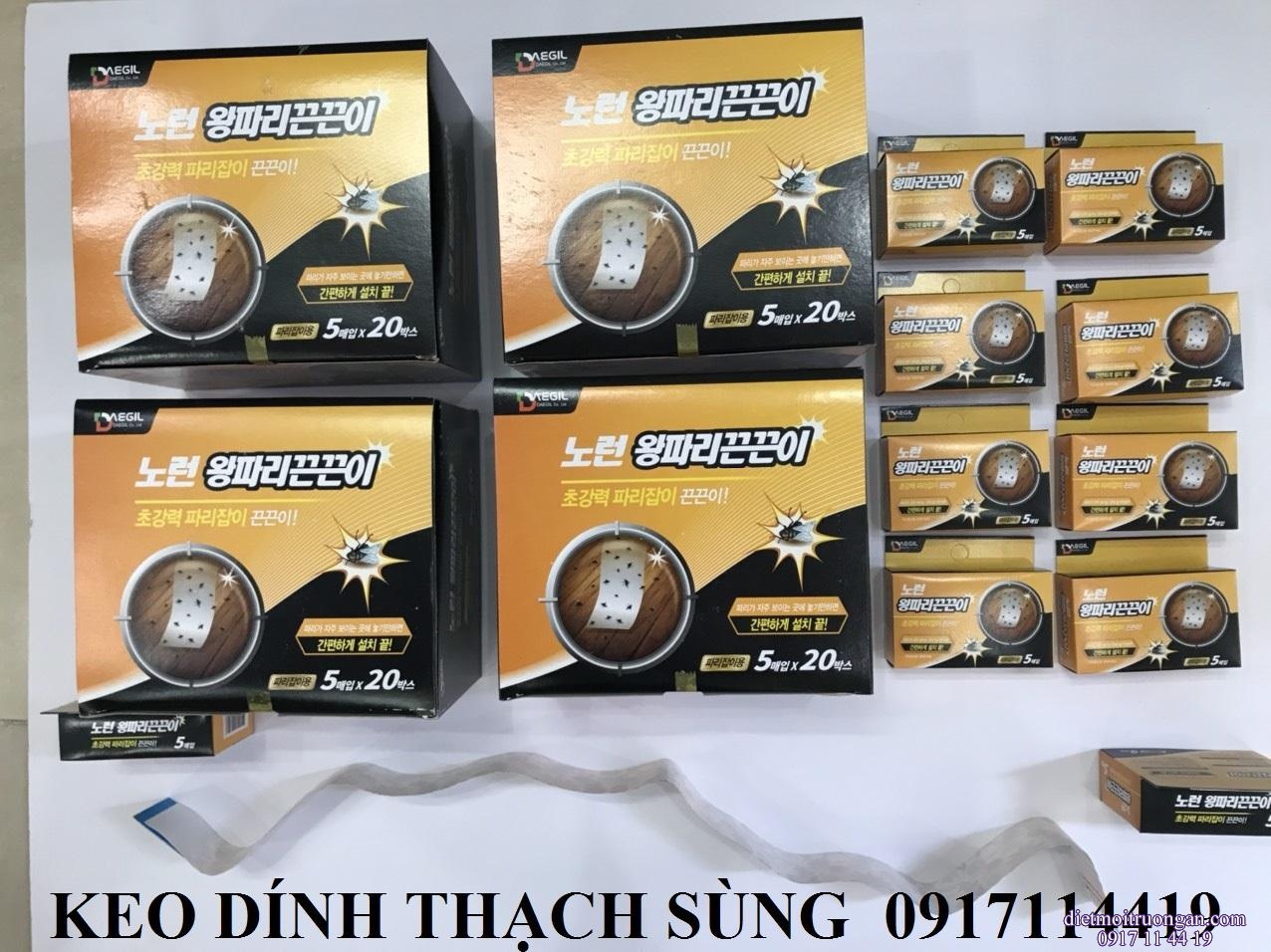 Keo dính Thạch Sùng