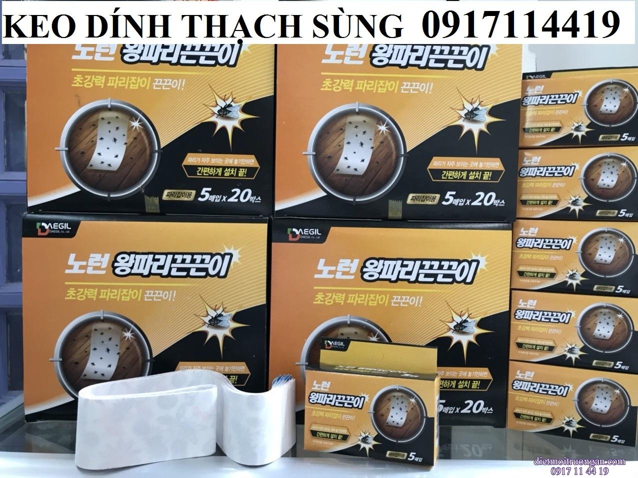 Keo dính Thạch Sùng