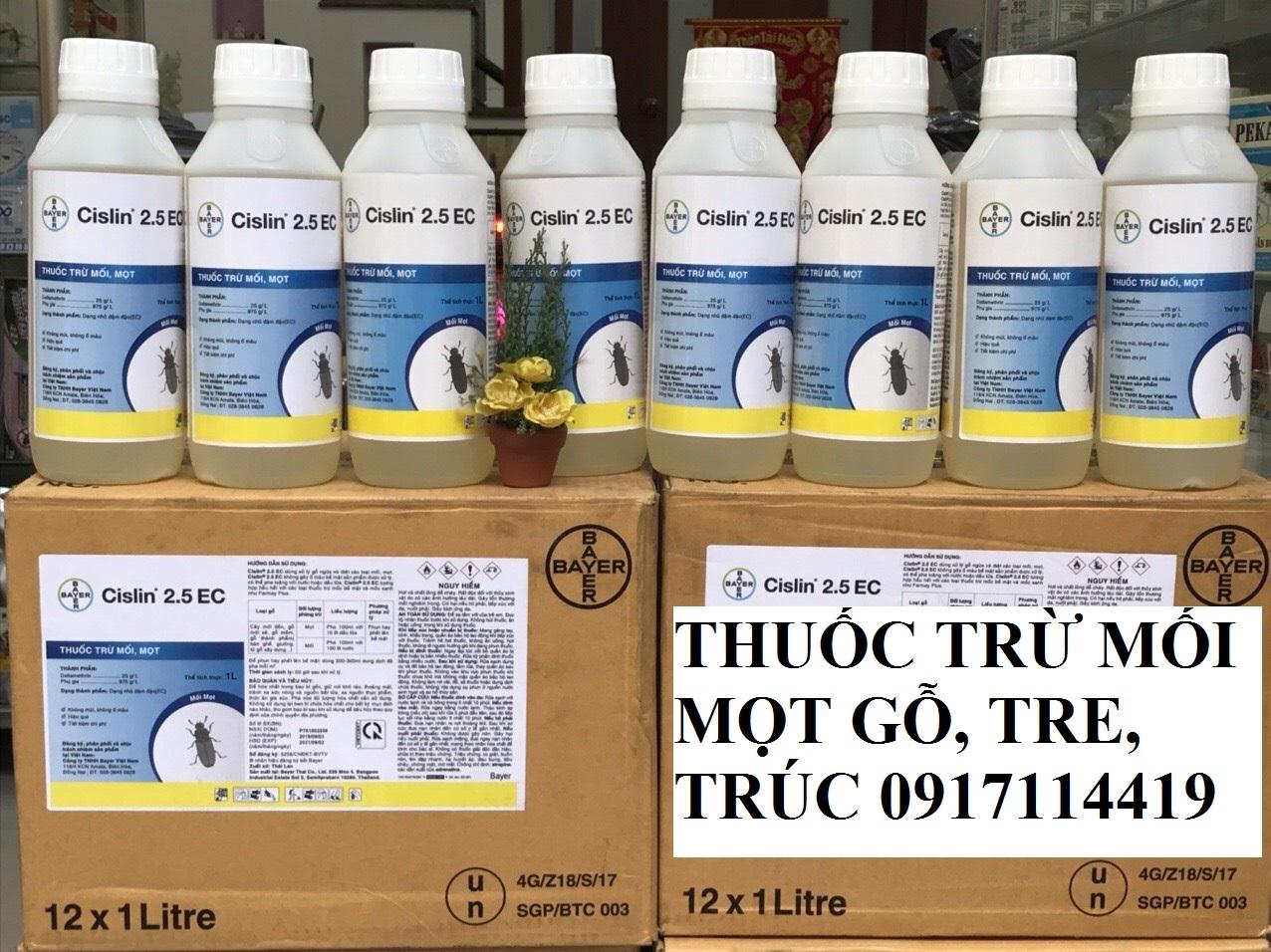Cách xử lý Mọt Tre hiệu quả nhất