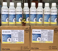 Thuốc xịt chống mối mọt gỗ tre trúc