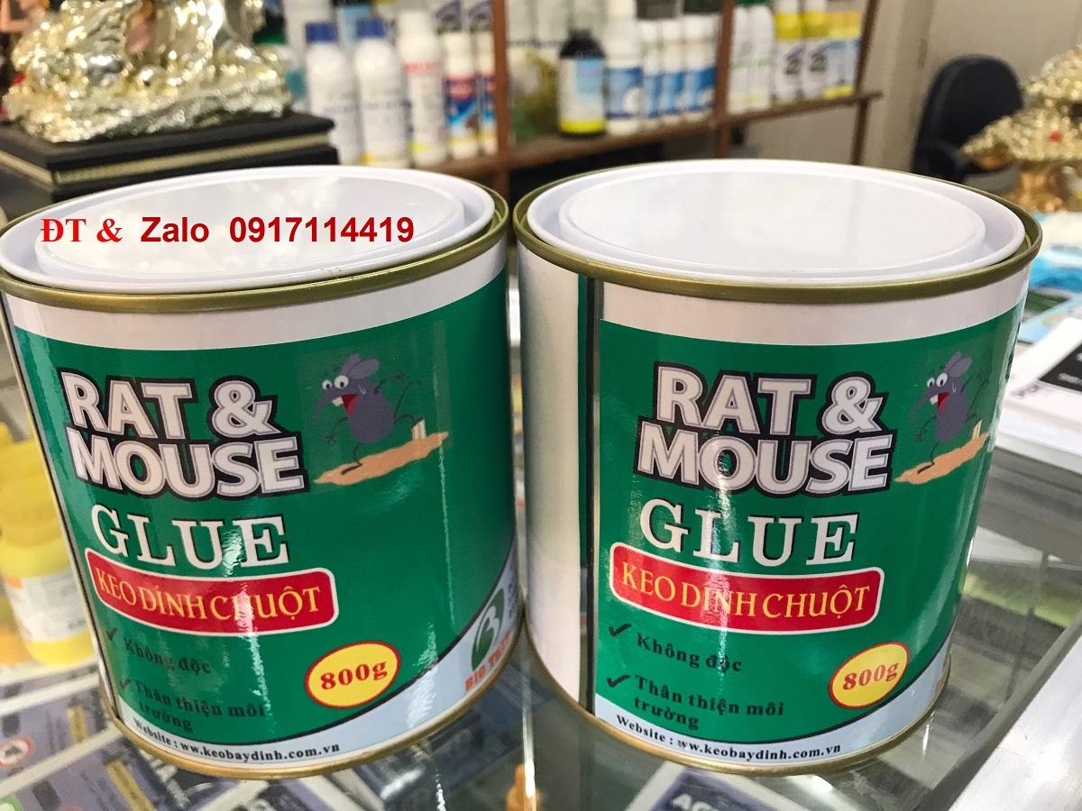 Diệt ruồi bằng keo dính chuột