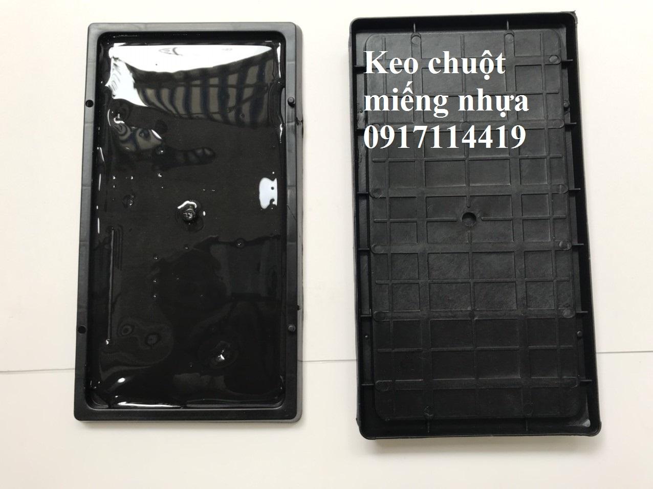 KEO  BẮT CHUỘT HỘP NHỰA