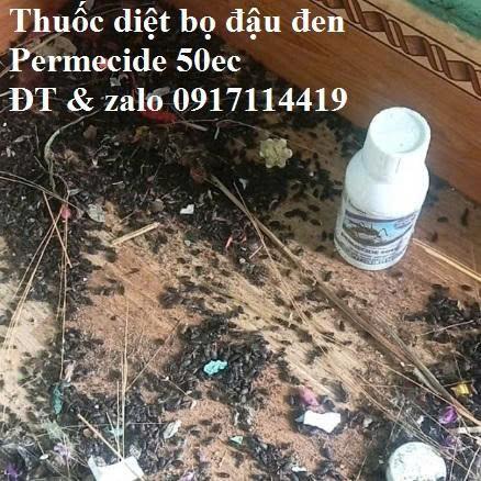 Mua thuốc diệt bọ đậu đen trên Shopee