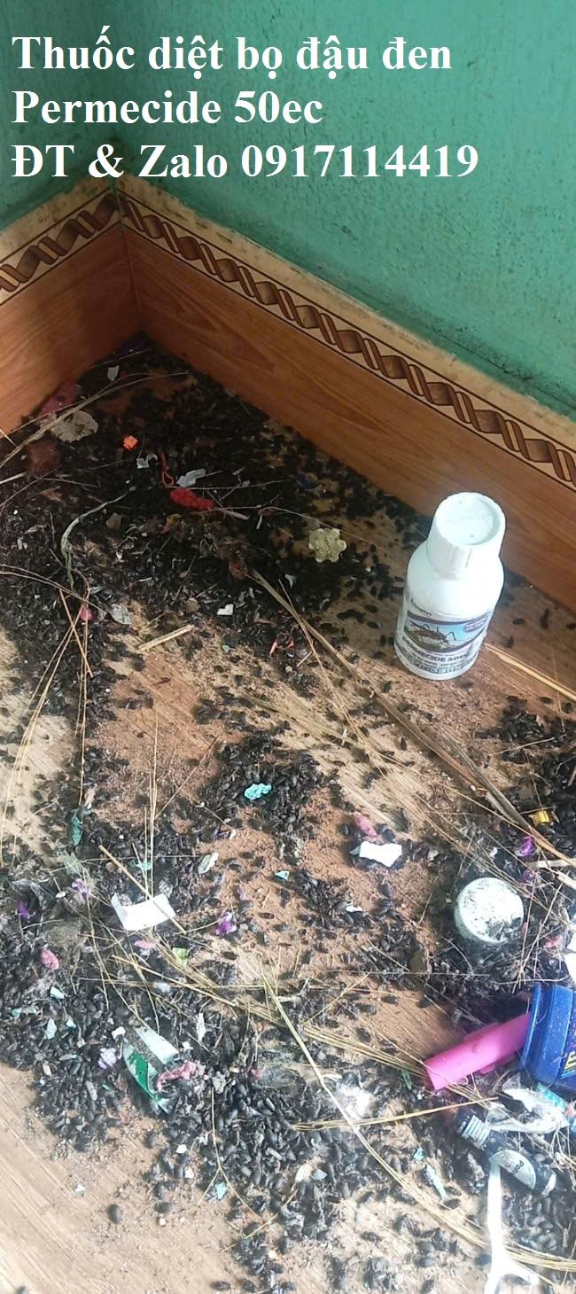 Shopee- Thuốc diệt bọ đậu đen Permcide 100ml